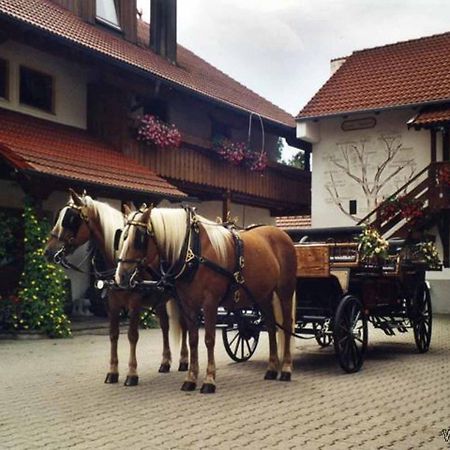 Appartementhaus "Haflinger Hof" Bad Fussing Exterior photo