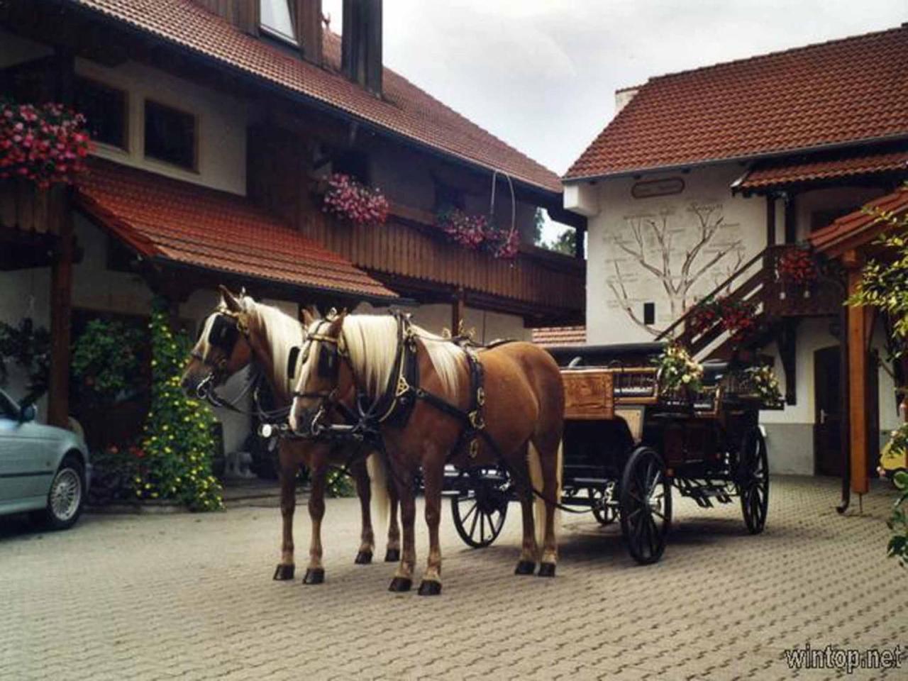 Appartementhaus "Haflinger Hof" Bad Fussing Exterior photo